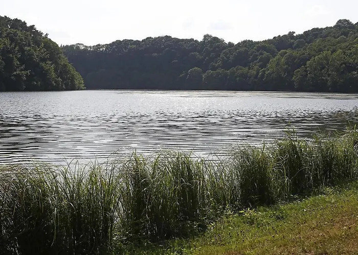 Mit Terrasse Und Garten Suedeifel By Interhome Vakantiehuis