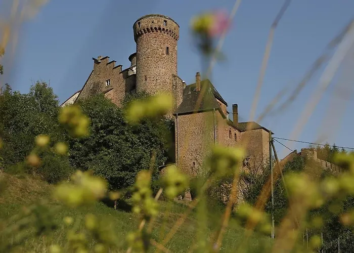 Mit Terrasse Und Garten Suedeifel By Interhome Vakantiehuis *